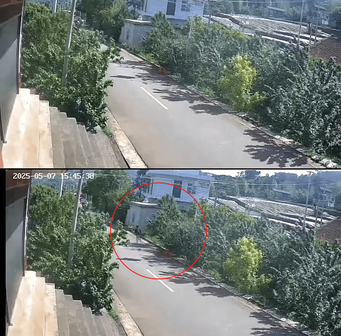 老人摘十斤樱桃摆路边被人顺走，家属发布监控画面曝光：已报警，不要赔偿要态度