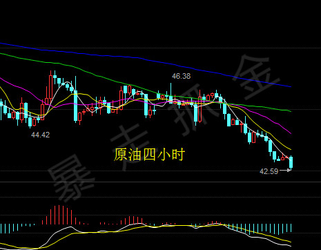 长赢原油(长赢投资系列)